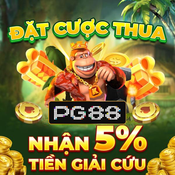 Trải nghiệm chơi phỏm miễn phí hấp dẫn cùng nhiều phần thưởng cho người mới