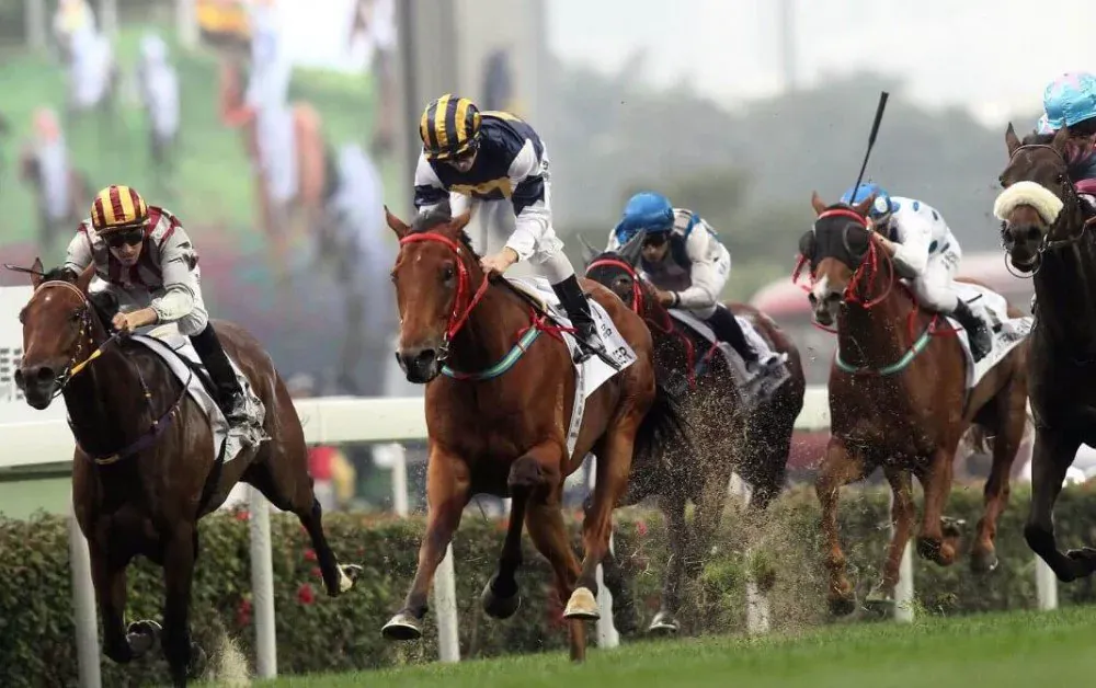 Khám phá top malaysia online casino uy tín và hấp dẫn nhất hiện nay